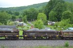 CO 913309